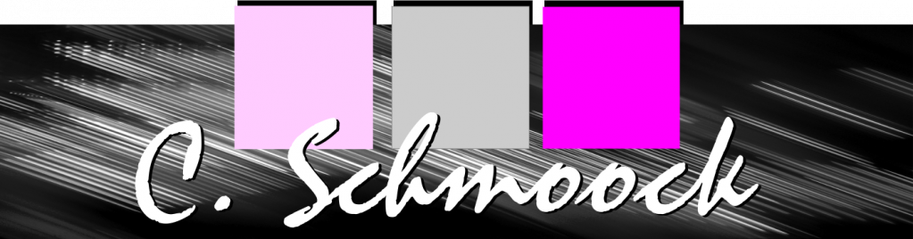 Logo Schmoock Design